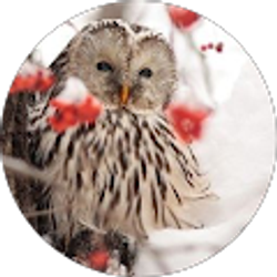 Profile photo of Arthur James