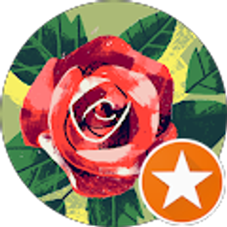 Profile photo of DB DSLB