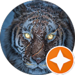 Profile photo of Damon Newman