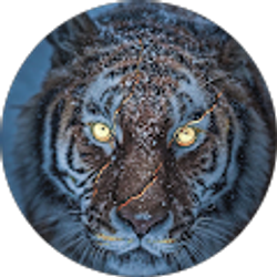 Profile photo of Damon Newman