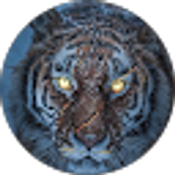 Profile photo of Damon Newman