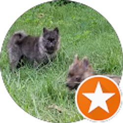 Profile photo of Margie Hall