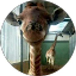 Profile photo of Melody Williams