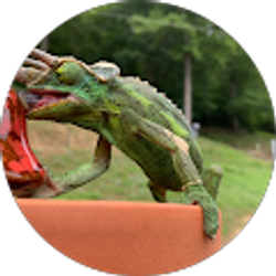 Profile photo of Kindra Horne