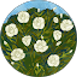 Profile photo of Delfina Pelozo