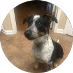 Profile photo of Jennifer goggans