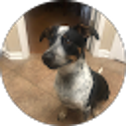 Profile photo of Jennifer goggans