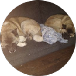 Profile photo of daybot