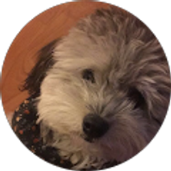 Profile photo of Lauren Stamper