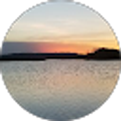 Profile photo of 007 700