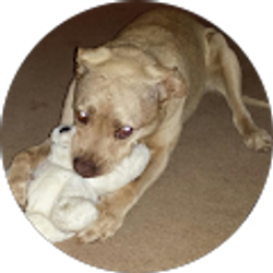 Profile photo of MIKE LASHER