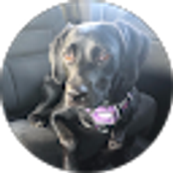 Profile photo of Linda Sanchez