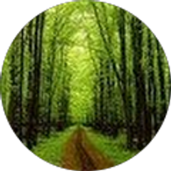 Profile photo of Jacob Mitchell