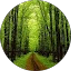 Profile photo of Jacob Mitchell