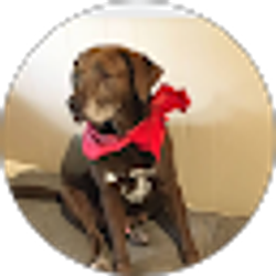 Profile photo of Pat Buttermore