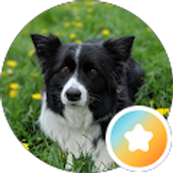 Profile photo of Spencer