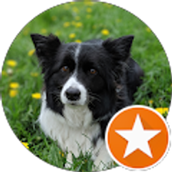 Profile photo of Spencer