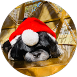 Profile photo of Carol W