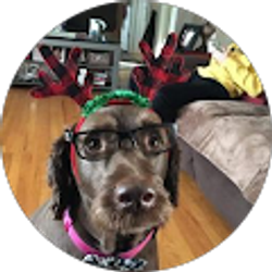 Profile photo of christina rose