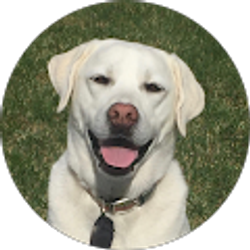 Profile photo of Nat Clark