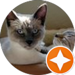 Profile photo of Thomas Reiner