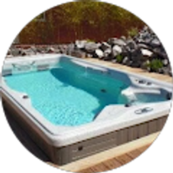 Profile photo of Wellness Bodybasics