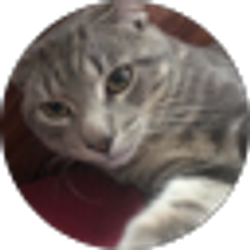 Profile photo of Ollie The Cat