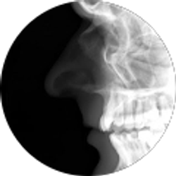 Profile photo of Leo Navar