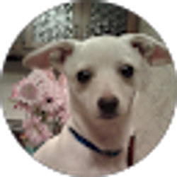 Profile photo of LYNNE LANG