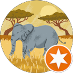 Profile photo of Thomas Mcnally