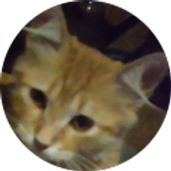 Profile photo of Donna Bates-Holmes