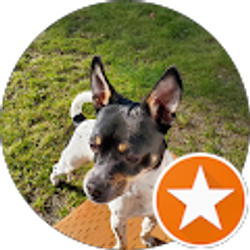 Profile photo of Belle Hartley