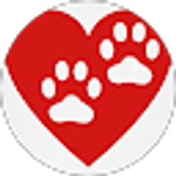 Profile photo of Barbara Franklin Main