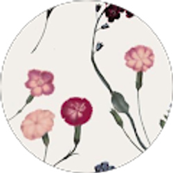 Profile photo of Olivia Williamson