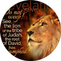 Profile photo of timothy dean