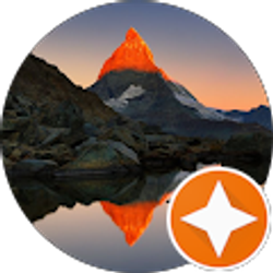 Profile photo of M Williams