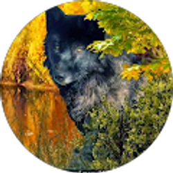 Profile photo of Tammy Brender