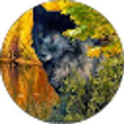 Profile photo of Tammy Brender