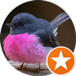 Profile photo of Rachel Elam (Little Missy)