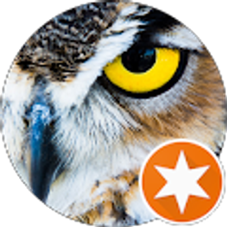 Profile photo of Brian Anderson