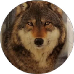 Profile photo of Wilson Porter