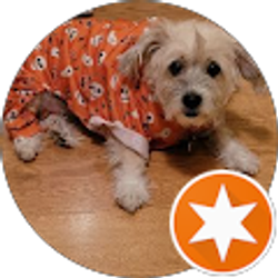 Profile photo of Renee Cartwright