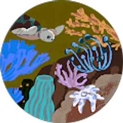 Profile photo of DEBRA BREAK