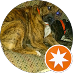 Profile photo of Russ Hazel