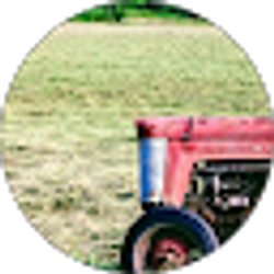 Profile photo of Back Achers Farm