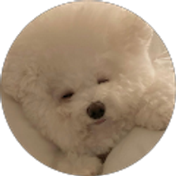 Profile photo of Allison