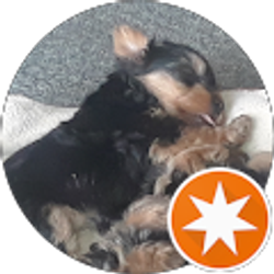 Profile photo of Brenda Co