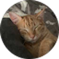 Profile photo of BL