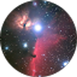 Profile photo of Aleena Martin
