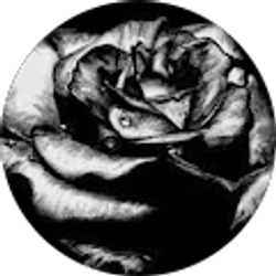 Profile photo of maggie Geib